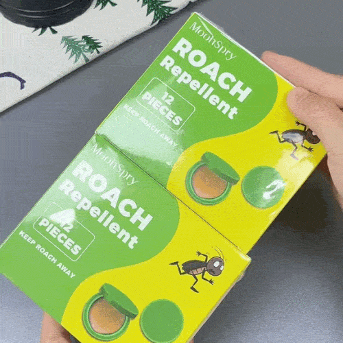 Capcane Premium pentru Gândaci cu Eficiență Dovedită